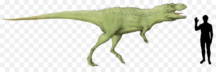 Indosaurus，Tyrannosaurus PNG