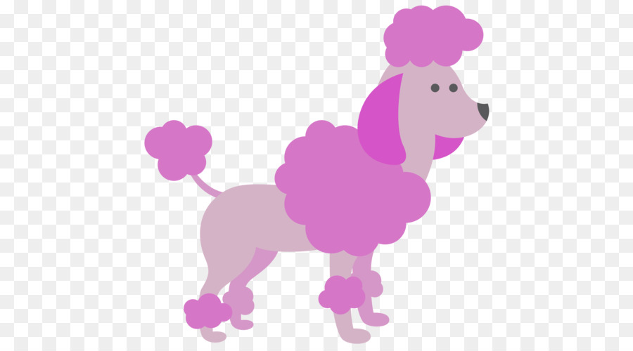 Cachorro，Caniche PNG