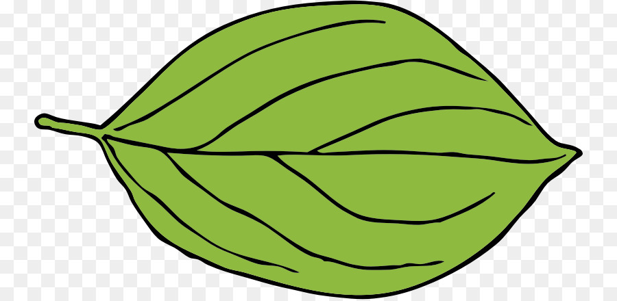 Hoja，Planta PNG