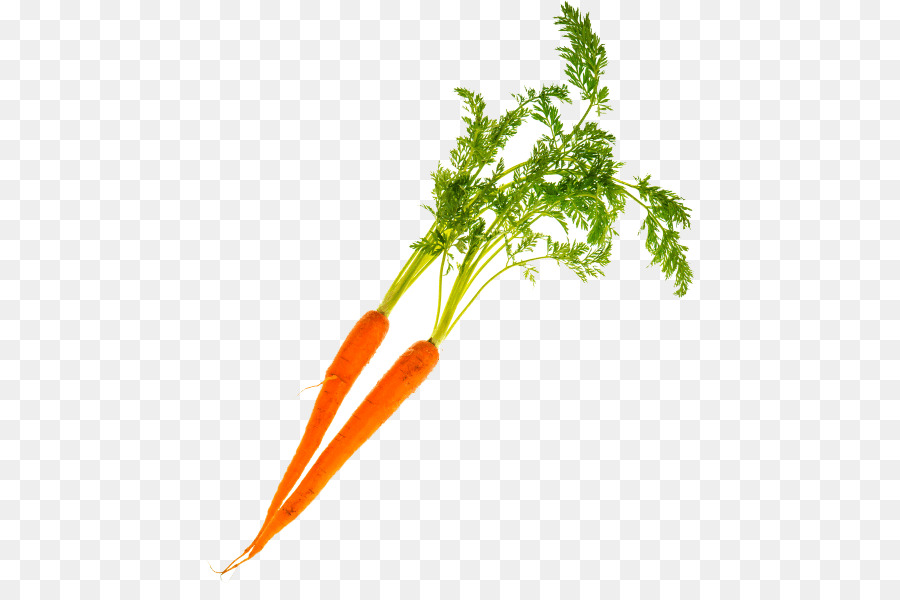 Verduras，Zanahoria PNG