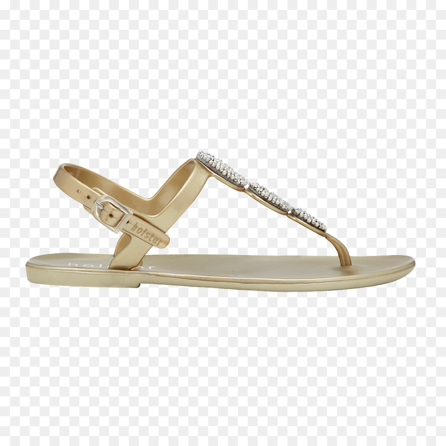 Chancletas，Sandalia PNG