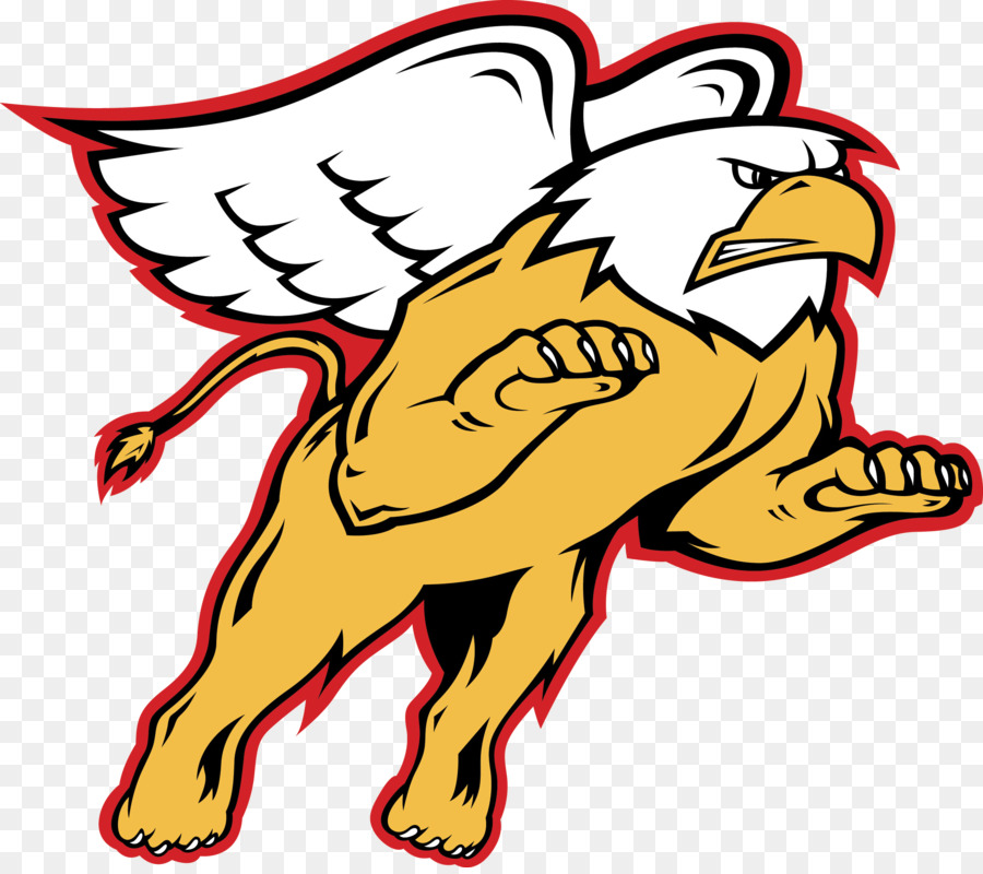 Universidad De Seton Hill，Seton Hill Griffins Fútbol PNG