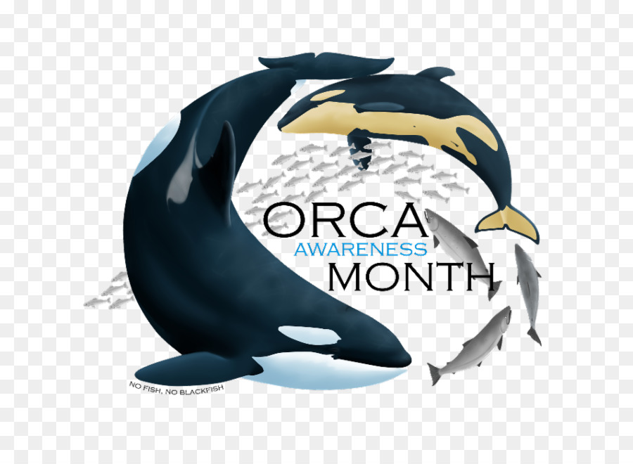 Delfín，Orca PNG