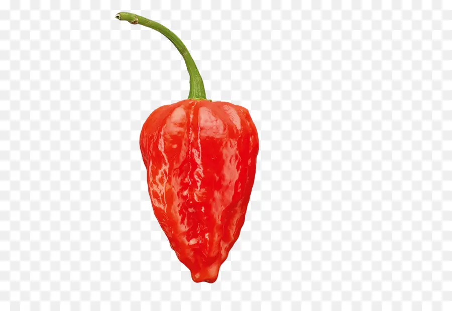 Habanero，Pimienta De Tabasco PNG