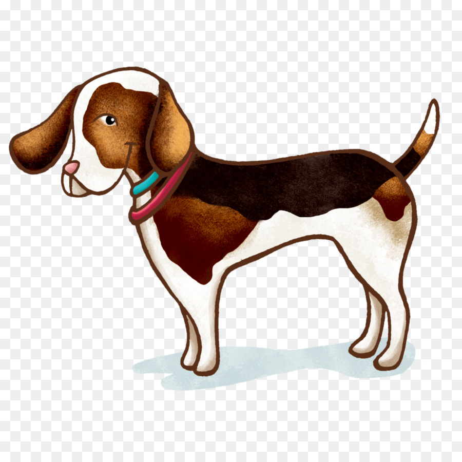 Cachorro，Perro PNG