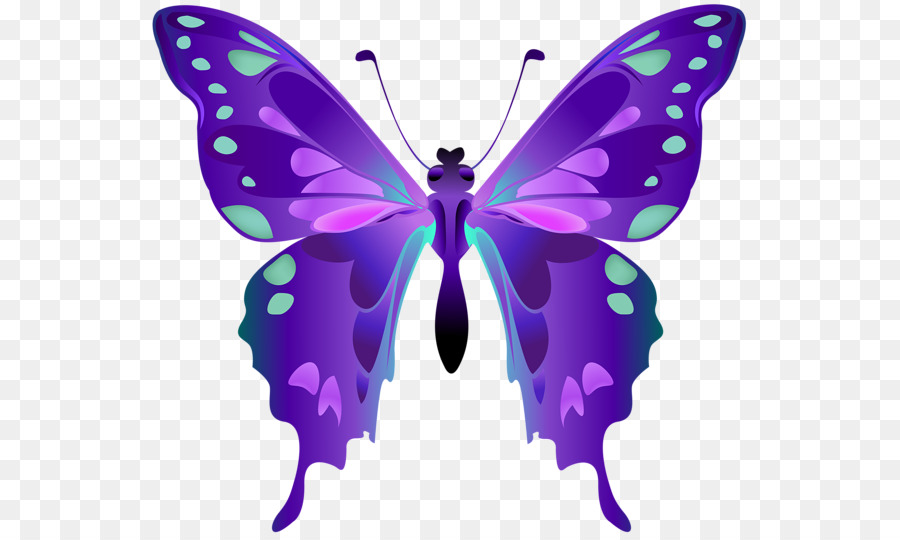 Mariposas Con Pincel，Polilla PNG