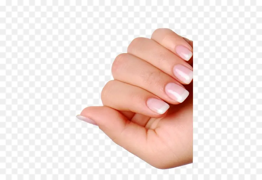 Uñas Cuidadas，Clavos PNG