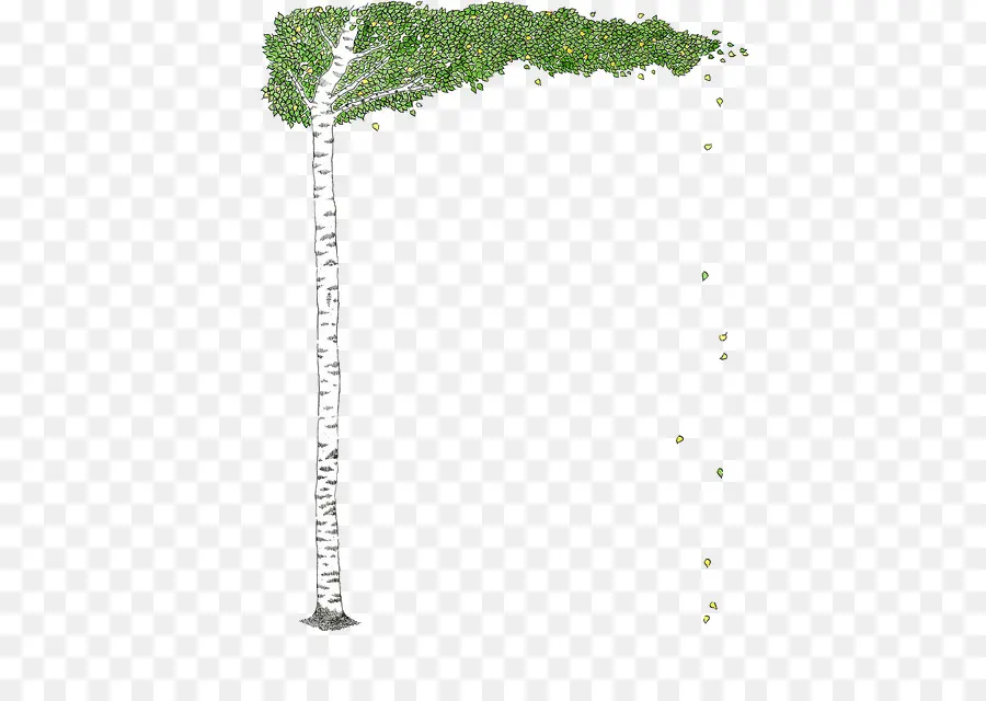 Árbol，Hojas PNG