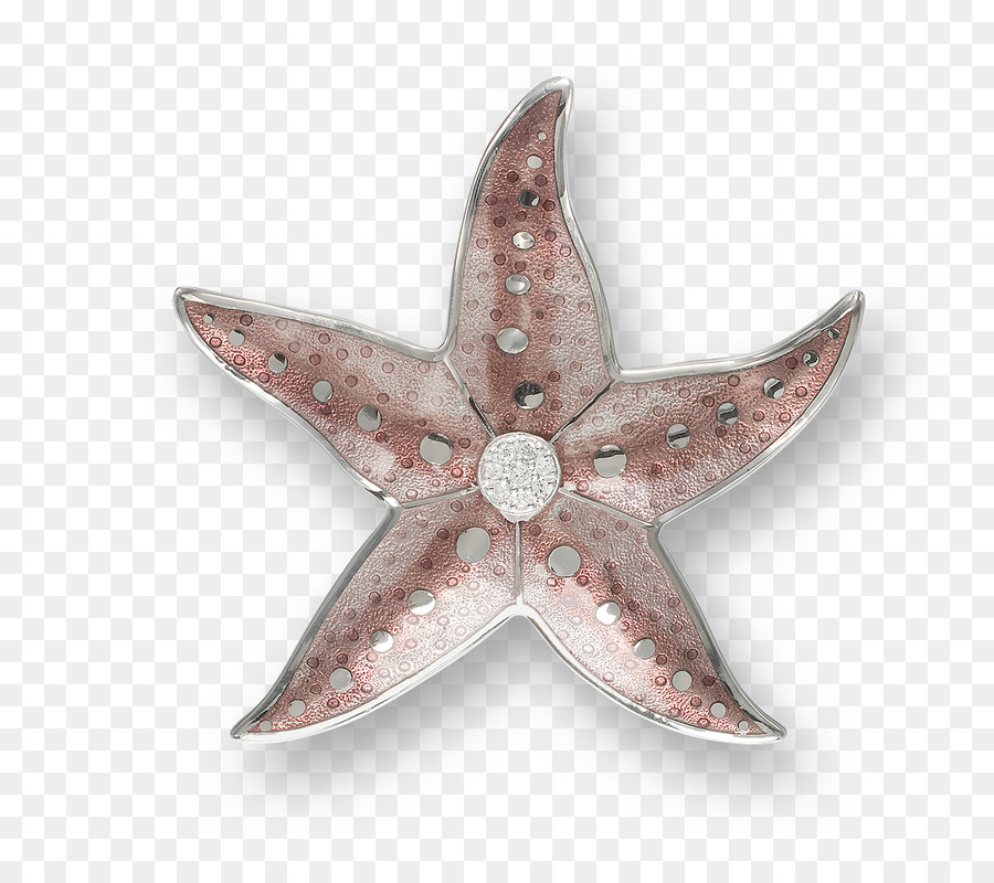 Broche，Plata PNG