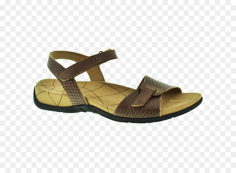 Sandalia，Zapato PNG