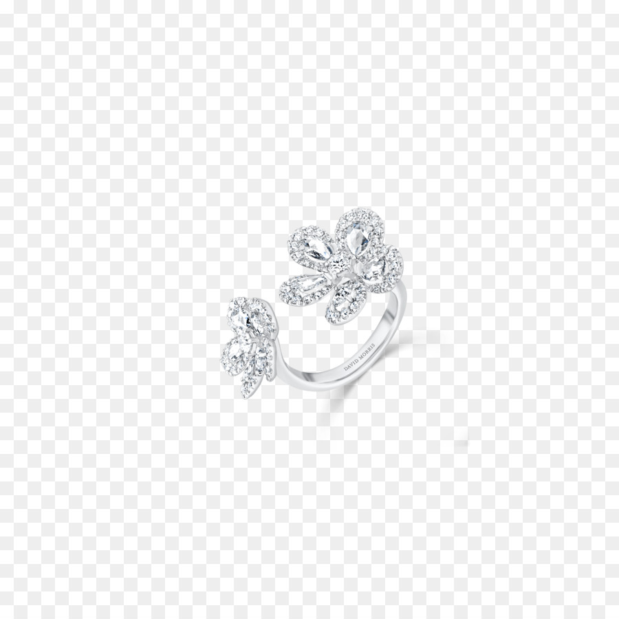 Anillo，Plata PNG