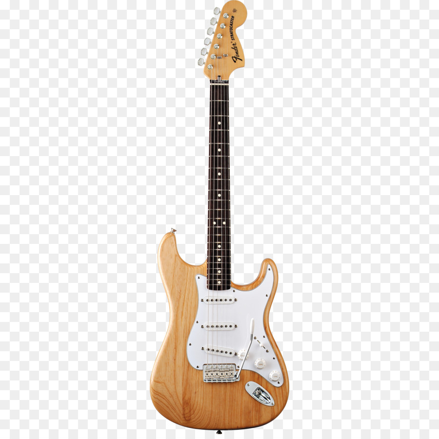 Fender Stratocaster，Diapasón PNG