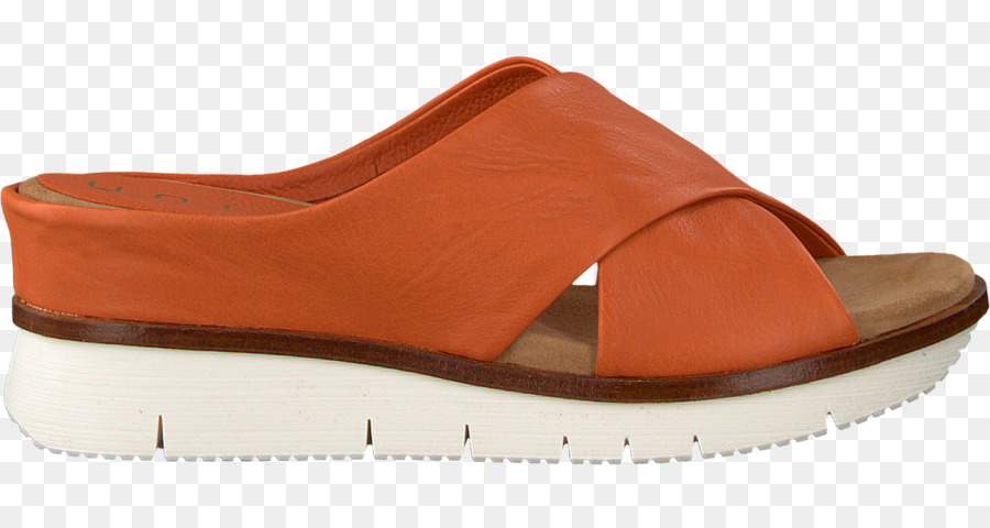 Zapato，Sandalia PNG