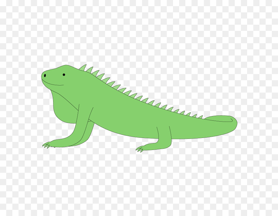 Común Iguanas，Los Anfibios PNG