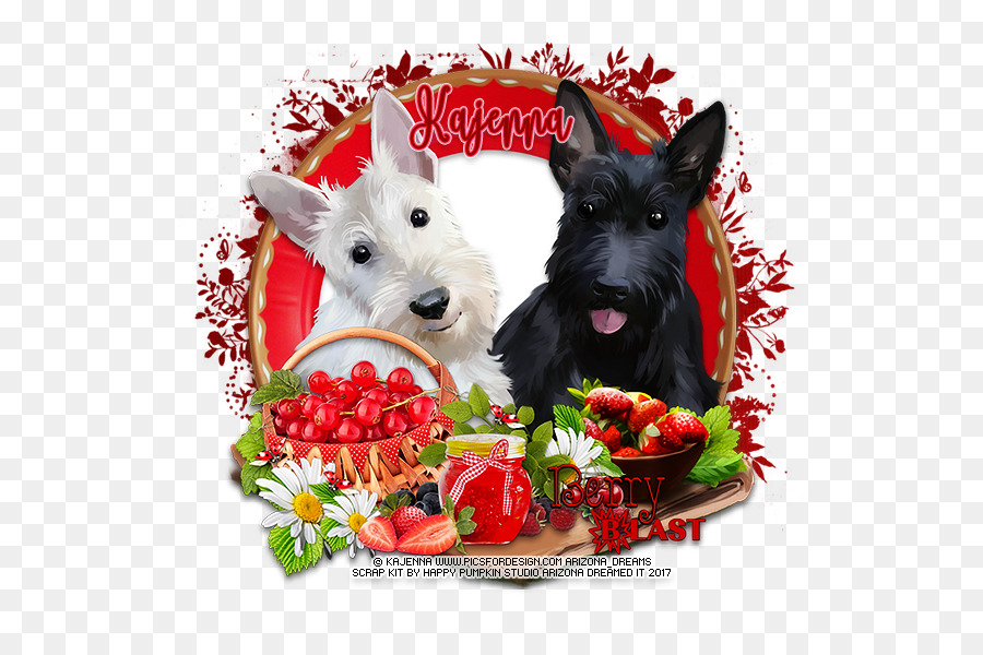 Scottish Terrier，Terrier PNG