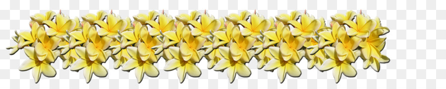 Flores Amarillas，Decoración PNG