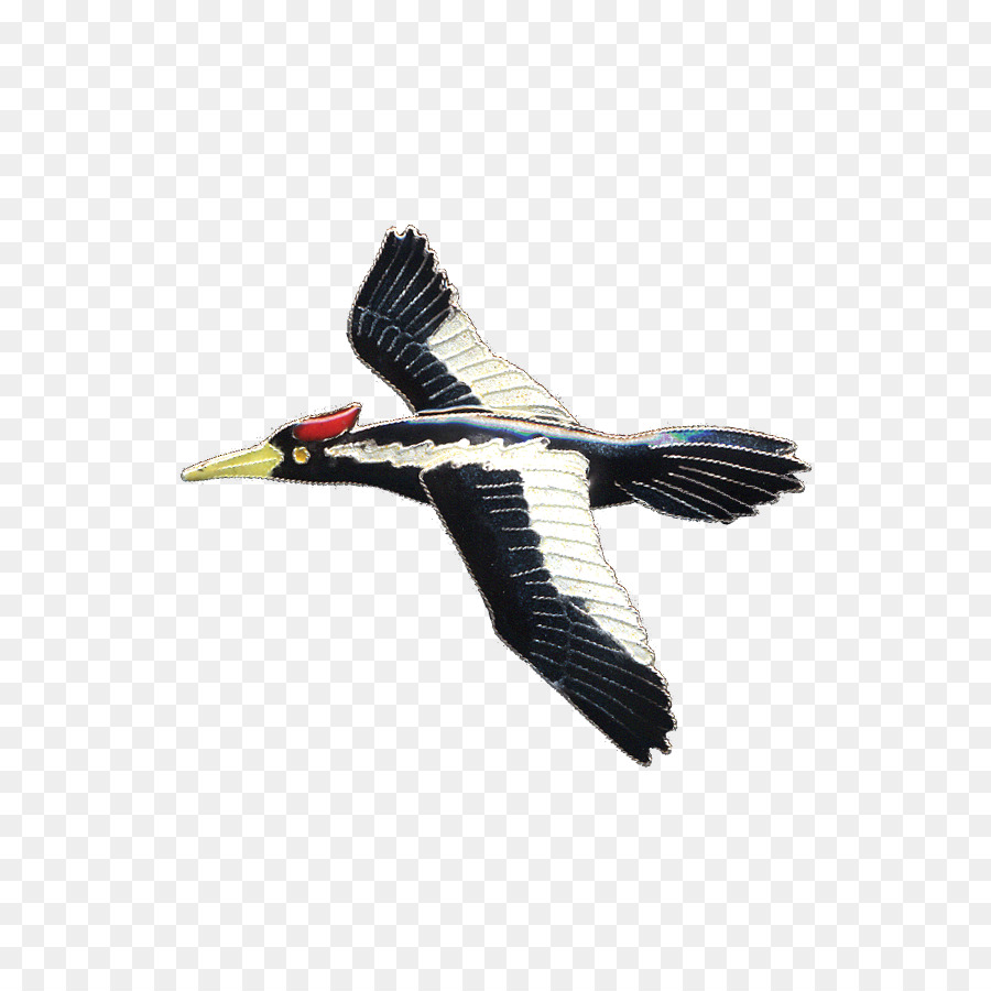 Pájaro Volador，Vuelo PNG