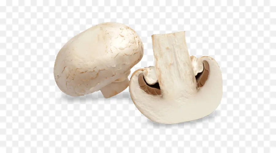 Hongos，Rebanado PNG