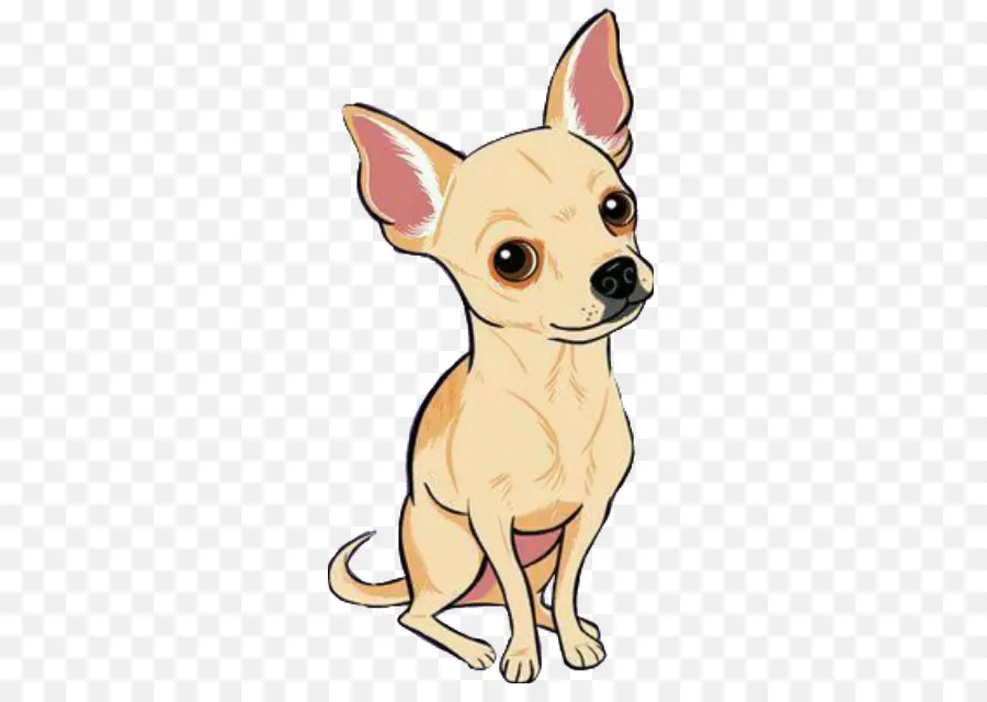 Chihuahua，Cachorro PNG