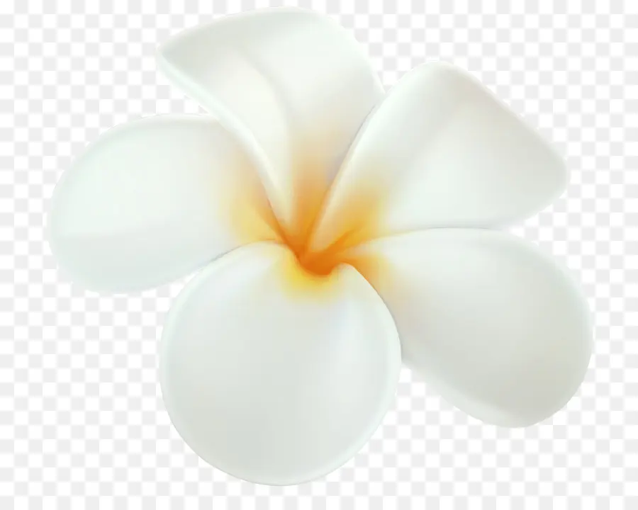 Hawai，Frangipani PNG