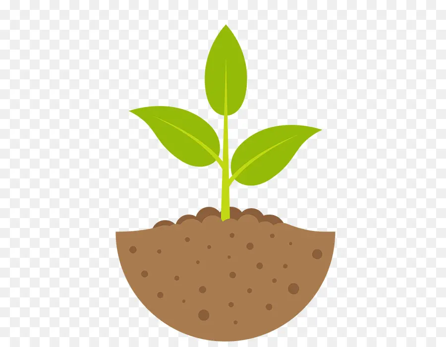 Las Plantas，Royaltyfree PNG