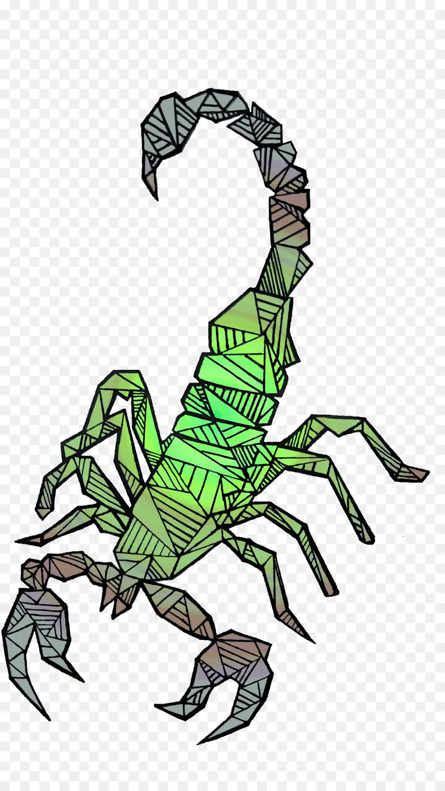 Escorpión，Insecto PNG