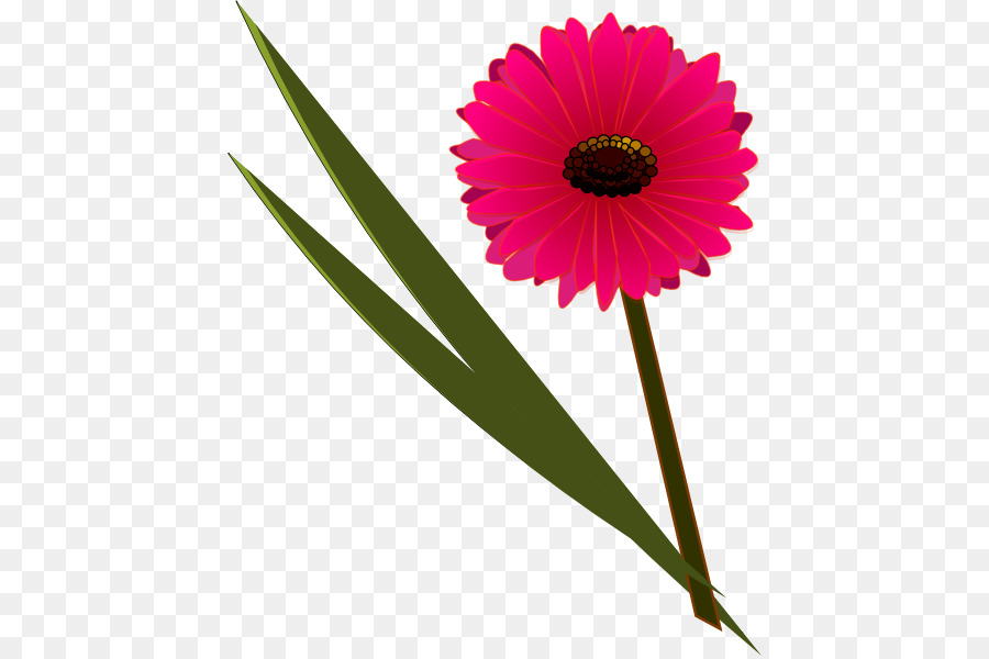 Flor，Diseño Floral PNG