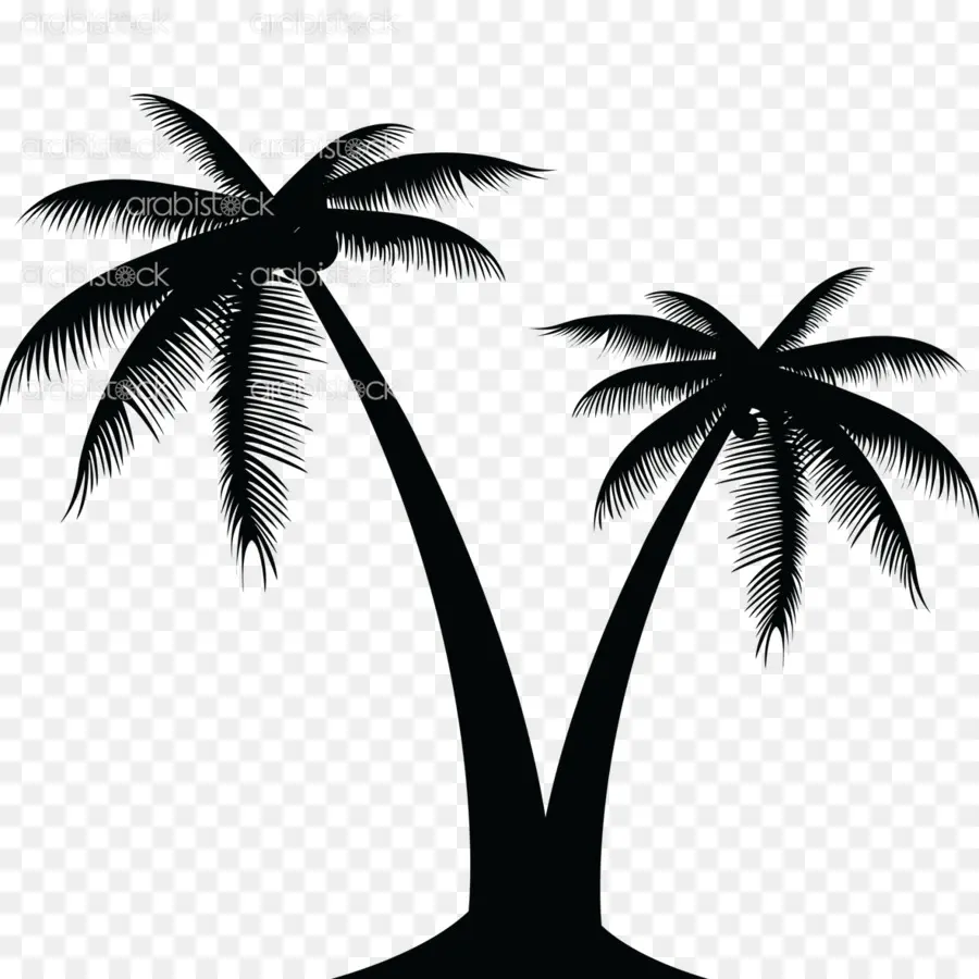 Coco，Los árboles De Palma PNG