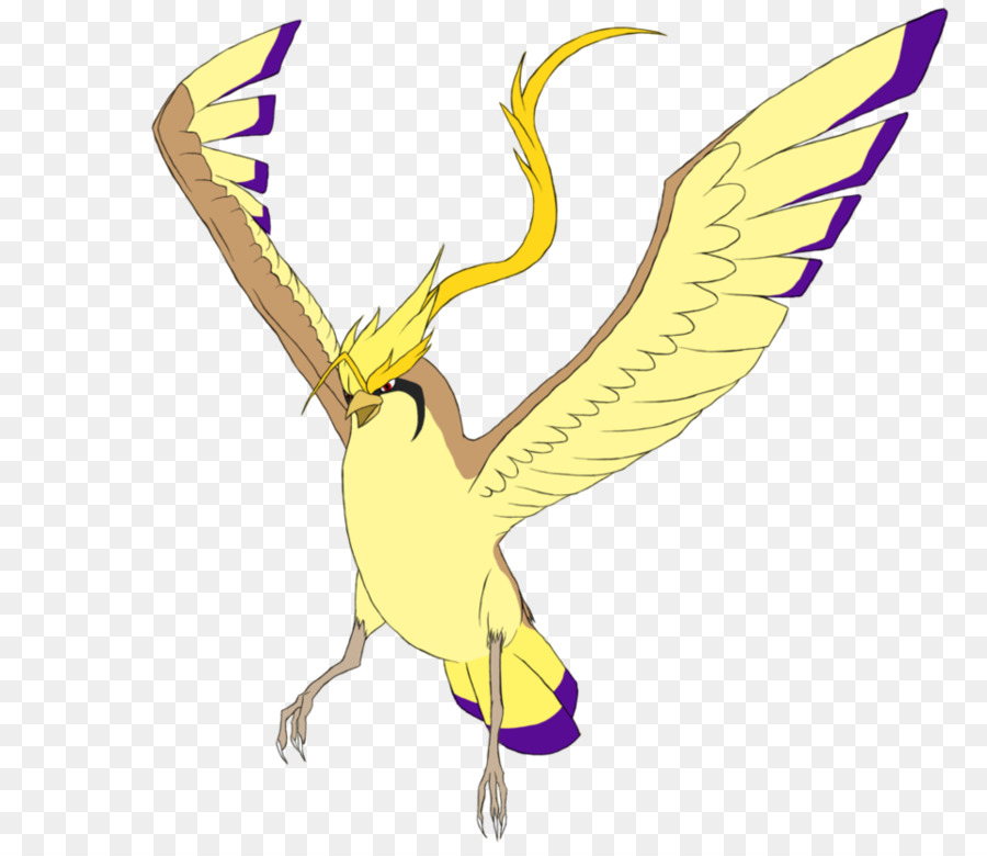 Pidgeot，Hashtag PNG