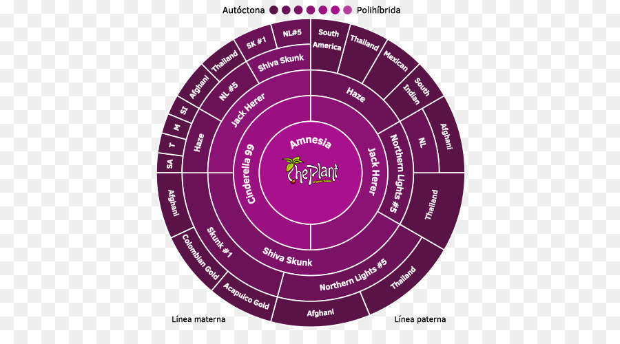 Marca，Diagrama De PNG