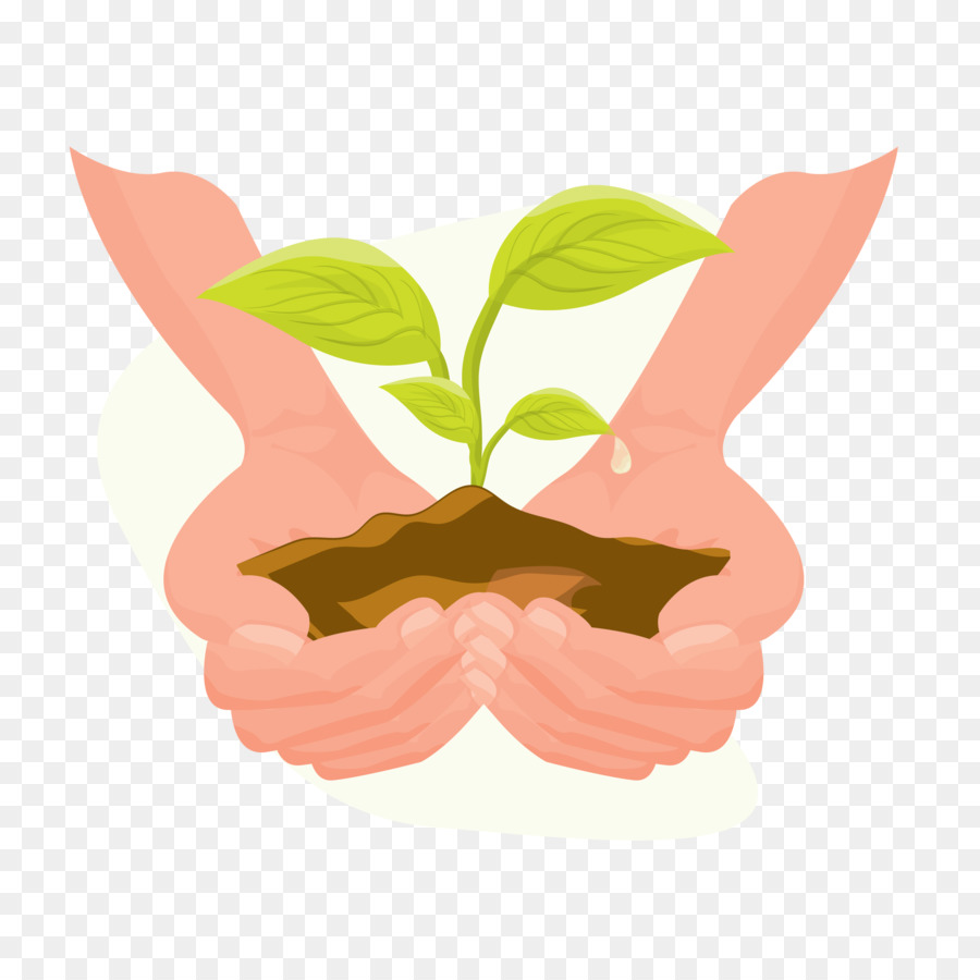 Planta De Mano，Crecimiento PNG