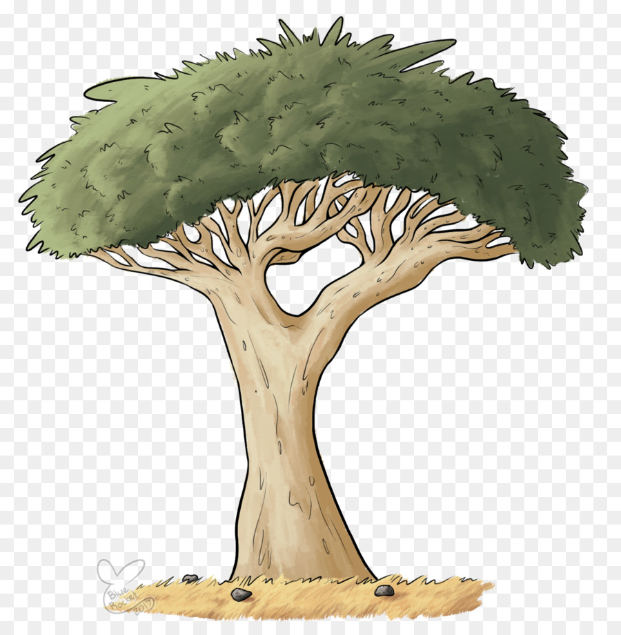 Árbol，Hojas PNG