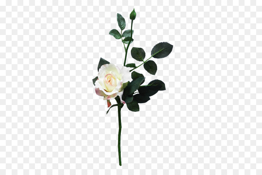 Flores Rosadas，Hojas Verdes PNG