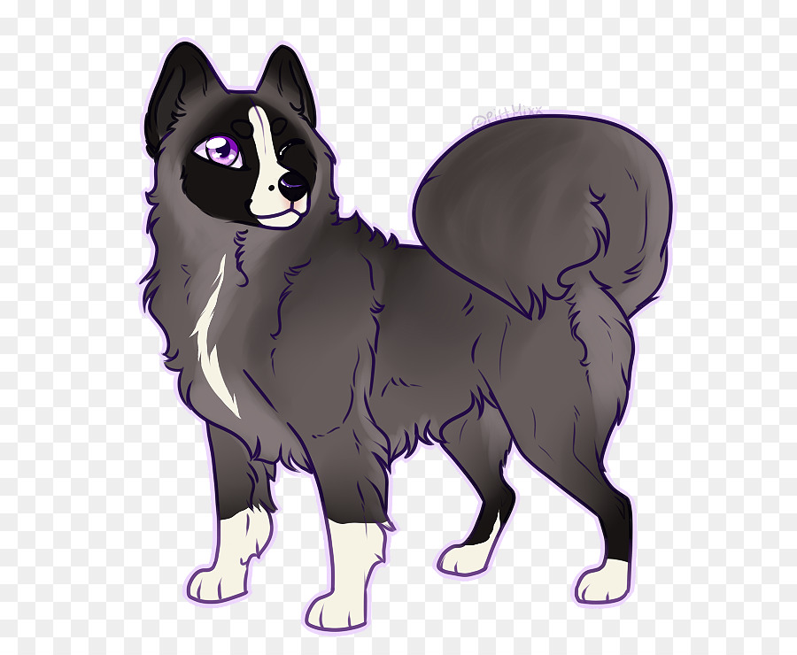 Bigotes，Schipperke PNG