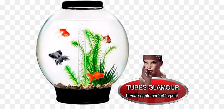 Biorb La Colección De Clásicos，Acuario PNG