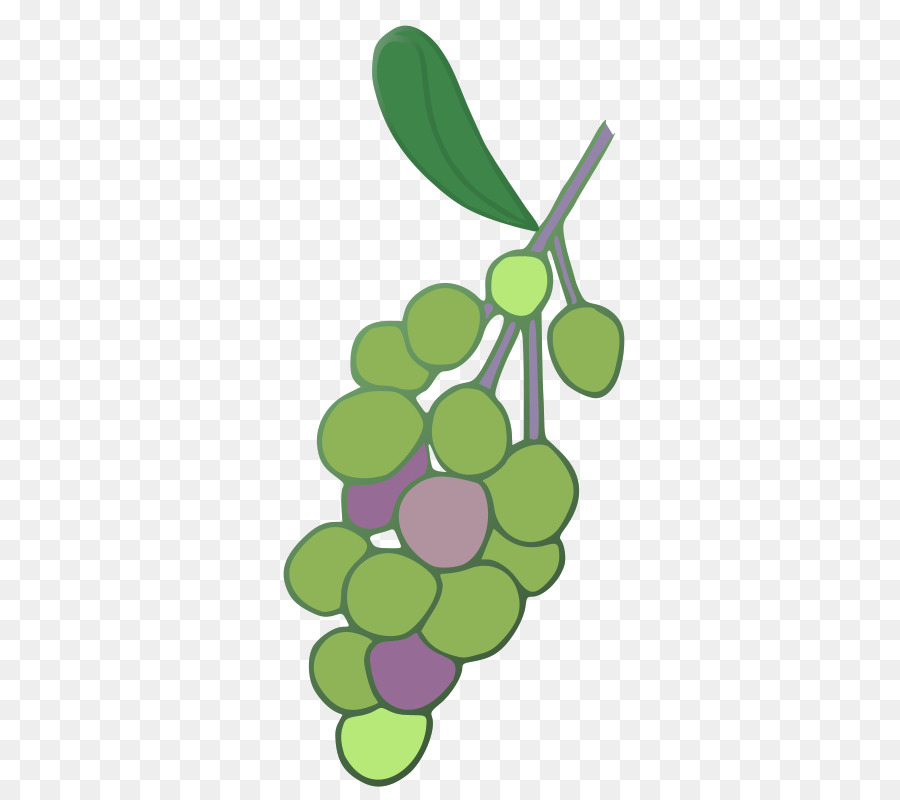 Vino，Uva PNG