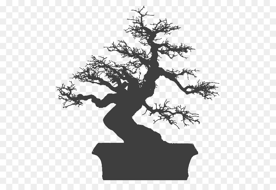 Bonsai，Apple Iphone 7 Plus PNG