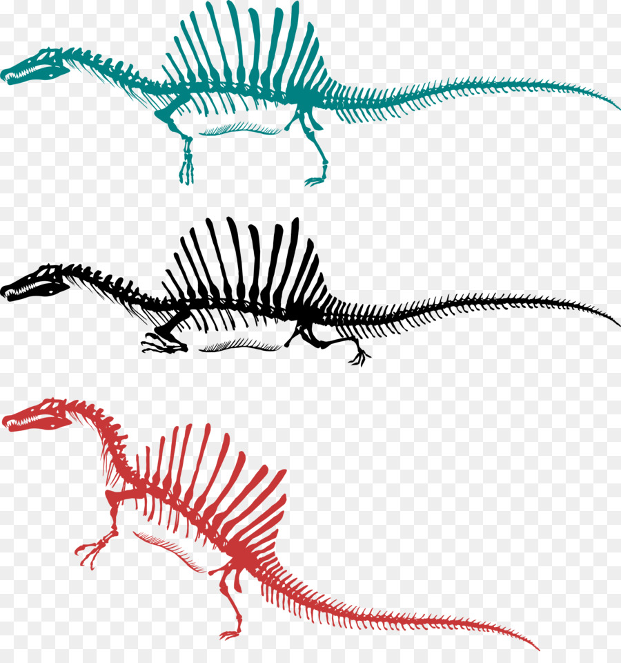 Spinosaurus，Sigilmassasaurus PNG