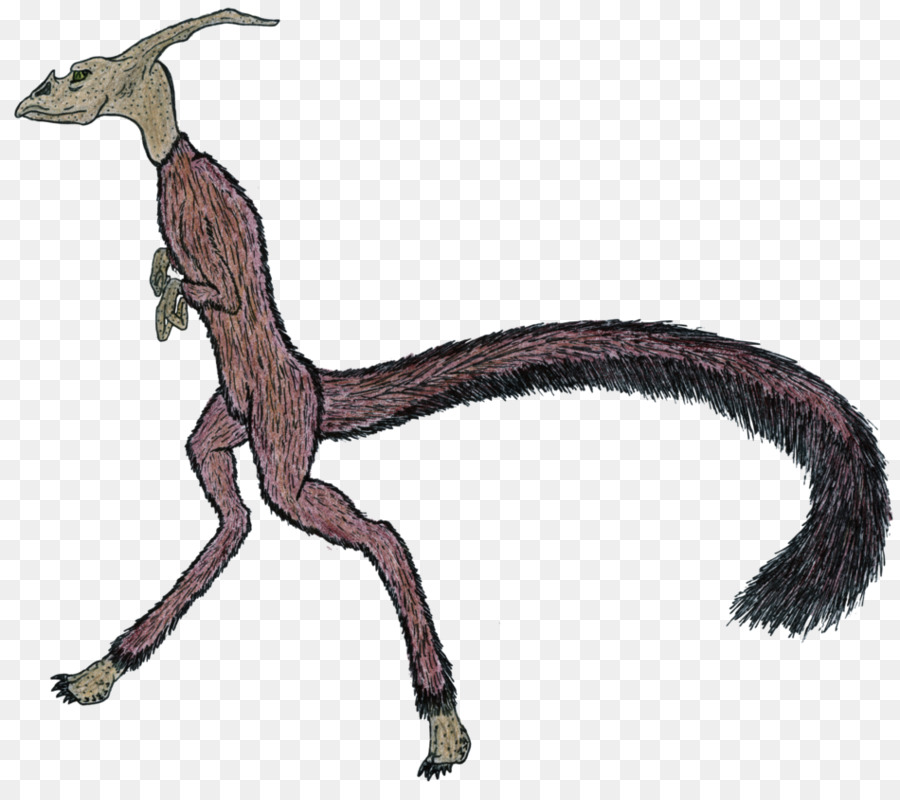 Velociraptor，La Fauna PNG