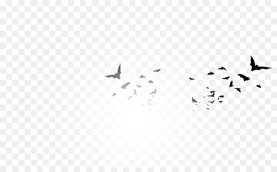 La Migración De Las Aves，Aves PNG