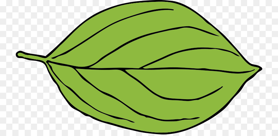 Hoja，Planta PNG