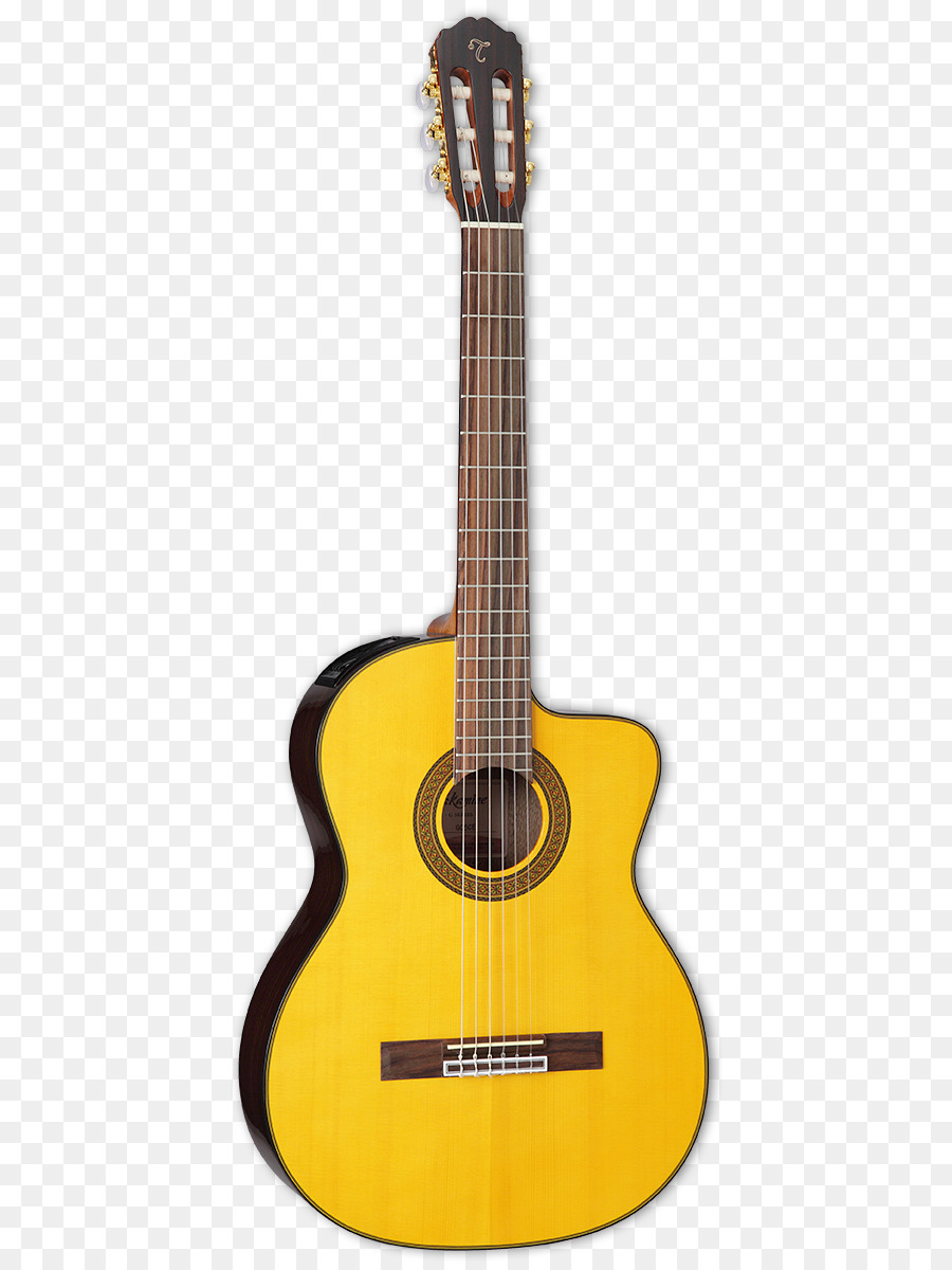 Guitarra Clásica，Guitarras Takamine PNG