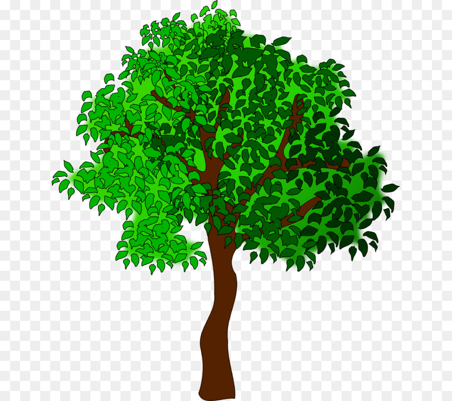 Árbol，Temporada PNG