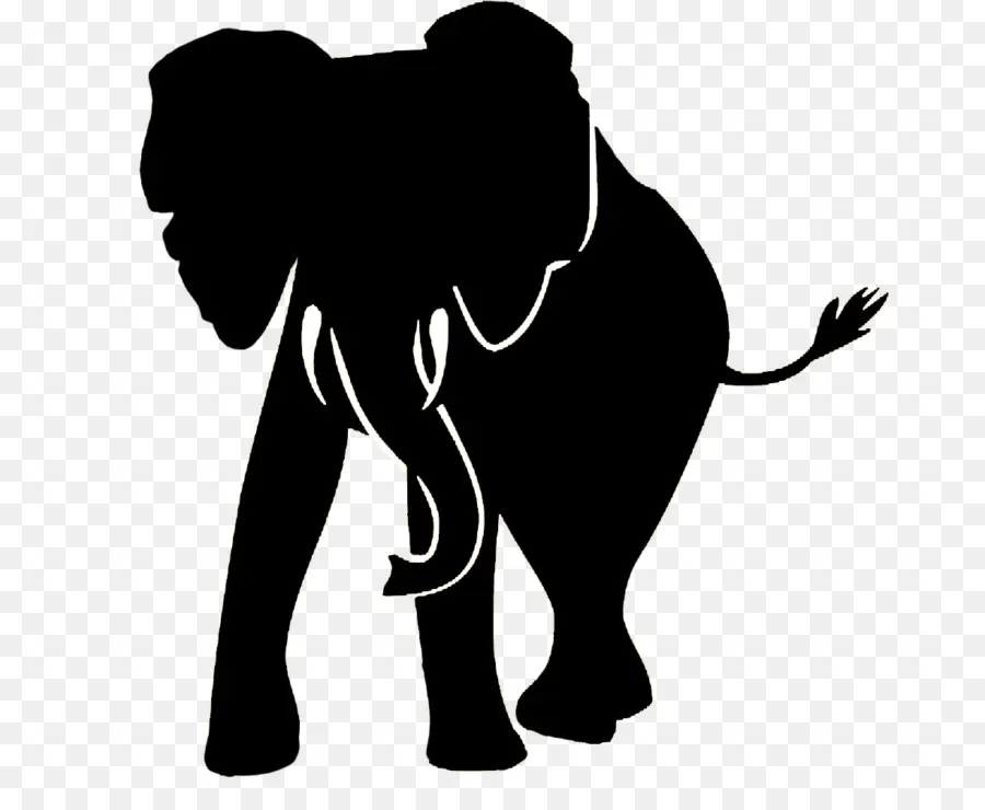 El Elefante Africano，Elefante PNG