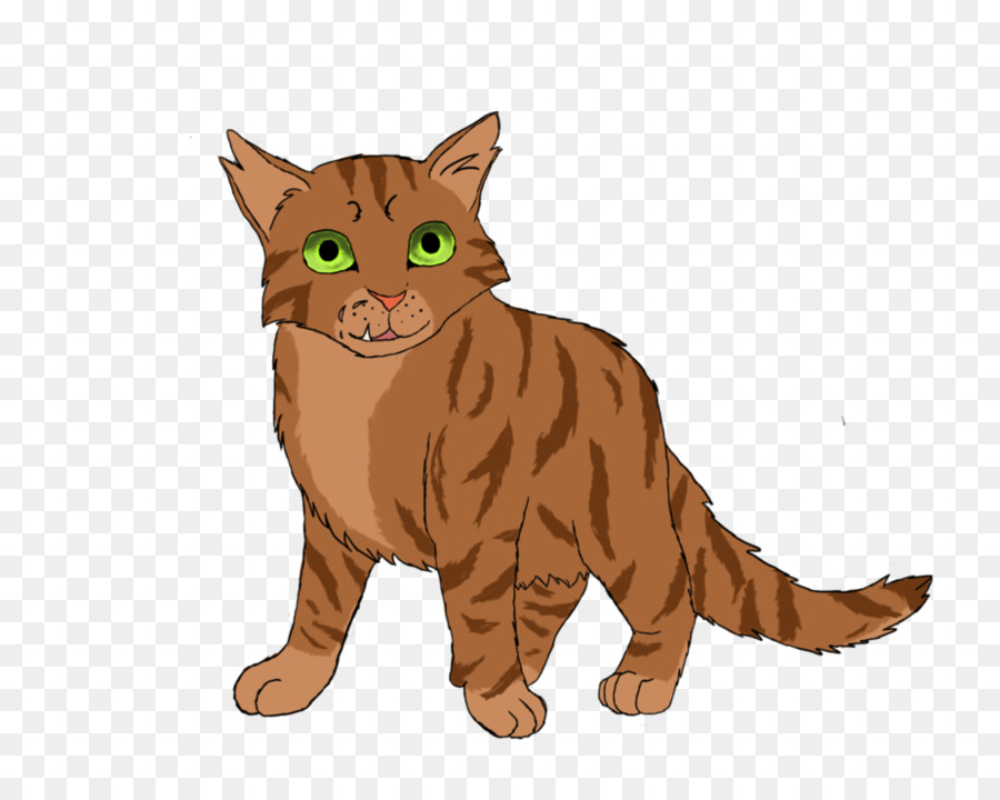 Gato Atigrado，Gato Salvaje PNG