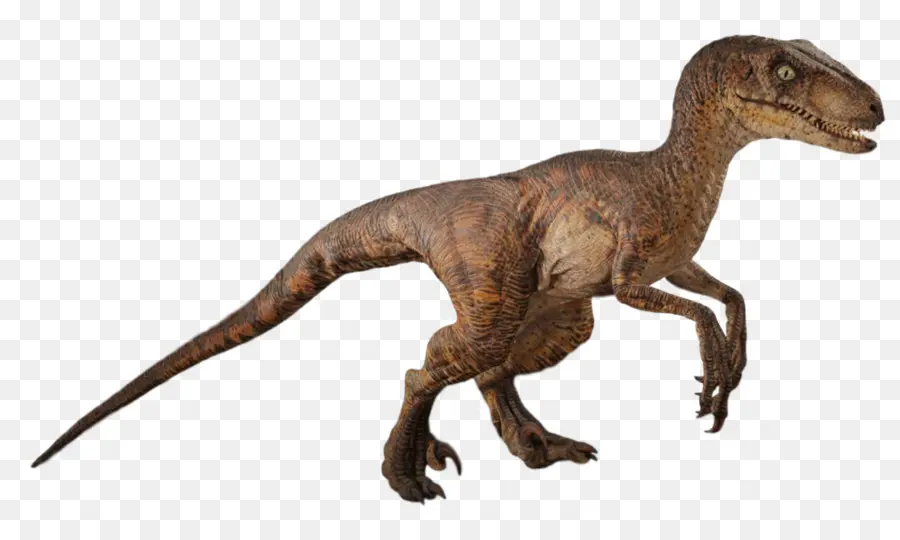 Velociraptor，Robert Muldoon PNG