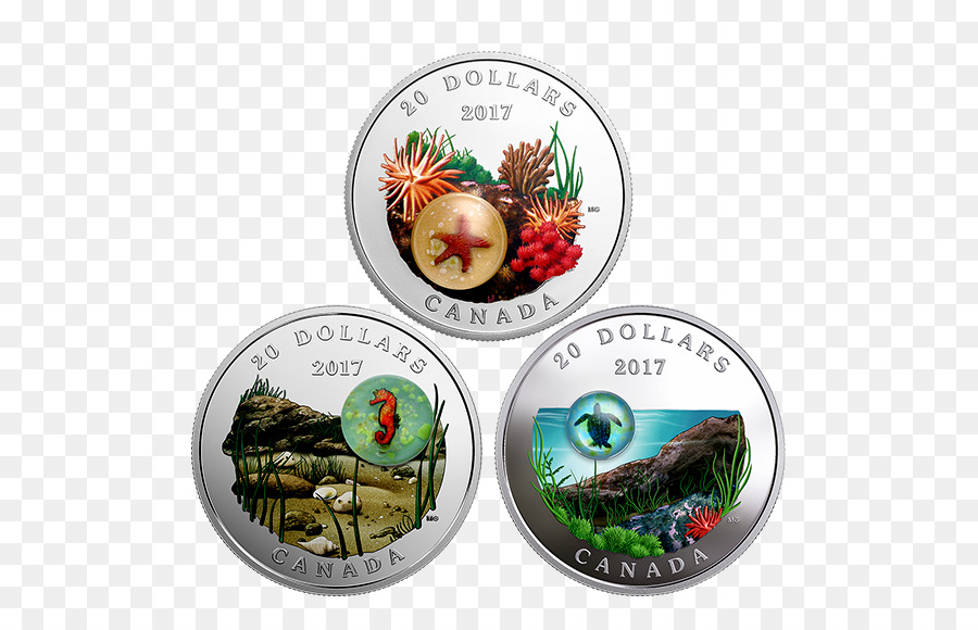 Moneda De Plata，Plata PNG