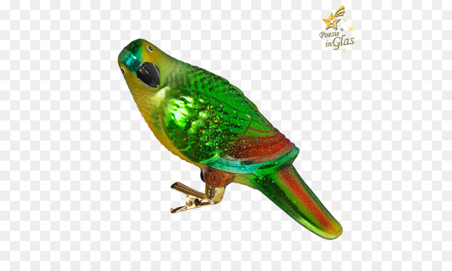 Guacamayo，Parakeet PNG