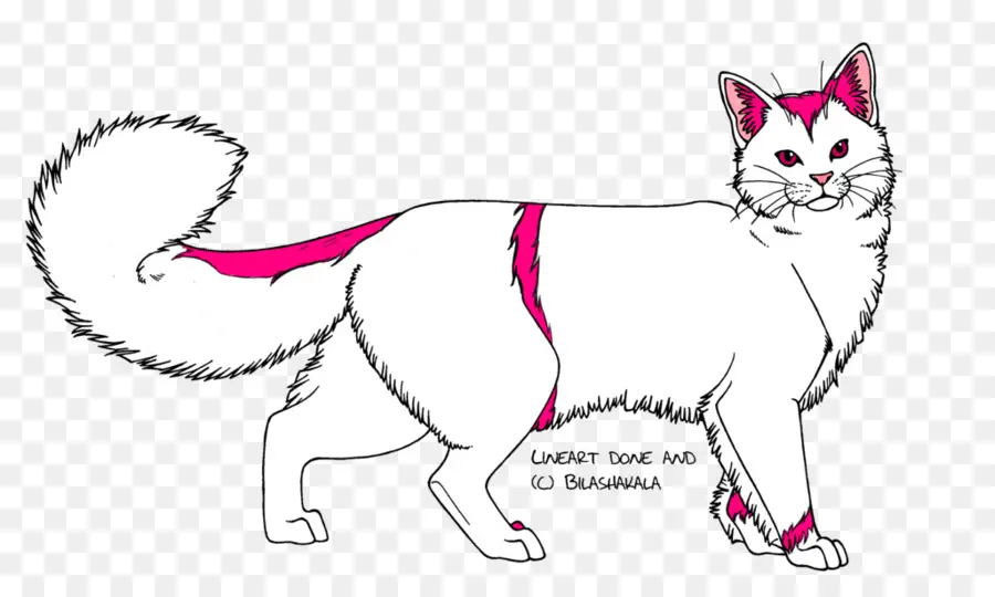 Gato，Dibujo PNG