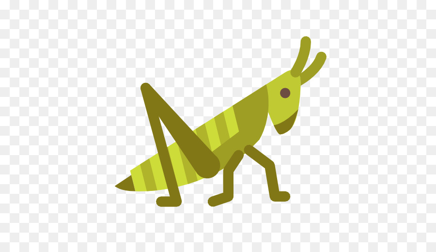 Iconos De Equipo，Saltamontes PNG